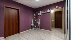 ��������� �������� ����� ��������, 1, ���, ���������� ���� 16