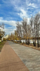 ��������� �������� ���������� (����� ������), 11�, ���, ����������� ���� 20