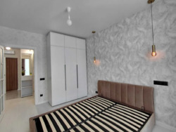 ��������� �������� ����� �����������, 44, ��� ���� 5