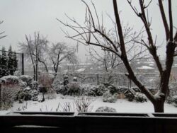 Продається квартира Лиснянська, таунхаус, Київ, Подільський фото 3 Продається квартира Лиснянська, таунхаус, Київ, Подільський фото 3