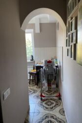 ��������� �������� ��������� ������, 33, ���, ����������� ���� 7