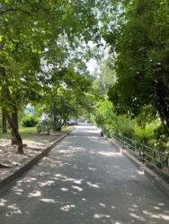 Продається квартира Київ, Солом'янський, Липківского Василя (Урицького), 13 фото 10 Продається квартира Київ, Солом'янський, Липківского Василя (Урицького), 13 фото 10