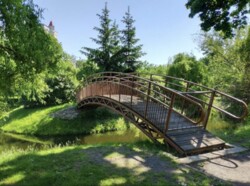 ��������� �������� ������������, 45�, ���, ���������� ���� 11