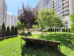 ��������� �������� ������� �����������, 24, ���, ����������� ���� 21