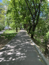 Продається квартира Київ, бул. Лесі Українки, 20/22 фото 10 Продається квартира Київ, бул. Лесі Українки, 20/22 фото 10