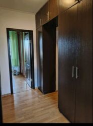 ��������� �������� ������������� �����, 33, ���, ���������� ���� 5