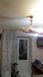 Продається квартира Лісовий проспект, 5, Київ, Деснянський, м. Лісова фото 11 Продається квартира Лісовий проспект, 5, Київ, Деснянський, м. Лісова фото 11