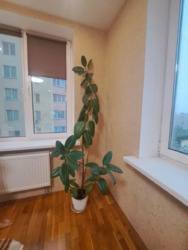Продається квартира Олевська, 9, Київ, Святошинський фото 21 Продається квартира Олевська, 9, Київ, Святошинський фото 21