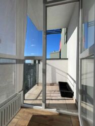 ��������� �������� ����� �����������, 10-�, ���, ���������� ���� 5