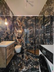 ��������� �������� ����� �����������, 44, ��� ���� 4