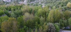   , , 볿 , 46/1, .    14