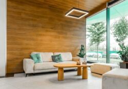 ��������� �������� ³����� ���������, 12�, ���, ���������� ���� 5