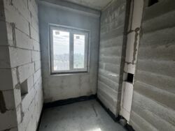   , , , 24, .   6