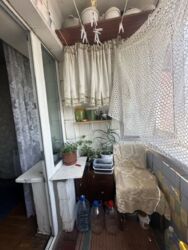   , , , 24, . 쳿  15