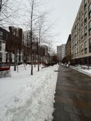 ��������� �������� �������, 2, ���, ������������� ���� 20