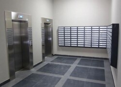 ��������� �������� �����. �������������, 55�, ���, ������������� ���� 4