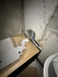 ��������� �������� ѳ�'� ���������, 21, ���, ����������� ���� 19