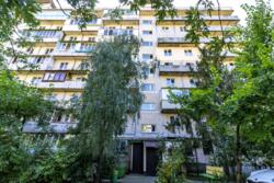 ��������� �������� ���������� ��������� (���� �����), 10-�, ���, ����������� ���� 19