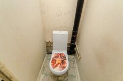 Продається квартира Гришка Михайла, 8А, Київ, Дарницький фото 10 Продається квартира Гришка Михайла, 8А, Київ, Дарницький фото 10