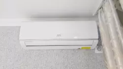   , , .  , 20, .   17