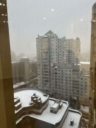 ��������� �������� ������ ���������, 37/1, ���, ���������� ���� 11