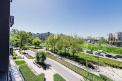 ��������� �������� ����������� 1�, ���, ����������� ���� 19