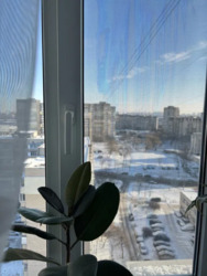 ��������� �������� �������� ʳ������, 15�, ���, ������������� ���� 2