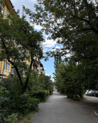 ��������� �������� �������� ���� �����., 18-�, ���, ������������ ���� 7