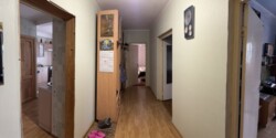  , , , 5  3