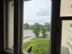 Продається квартира Оноре де Бальзака, 100/31, Київ, Деснянський фото 11 Продається квартира Оноре де Бальзака, 100/31, Київ, Деснянський фото 11