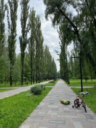 Продається квартира Київ, Шевченківський, Теліги 25, 25, м. Дорогожичі фото 19 Продається квартира Київ, Шевченківський, Теліги 25, 25, м. Дорогожичі фото 19