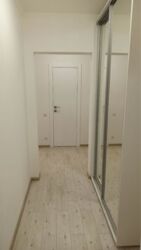 ��������� �������� �볿 ���������� (����������), 36�, ���, ����������� ���� 6