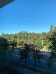 ��������� �������� ��������� ������, 33, ���, ����������� ���� 12