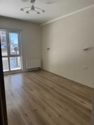 ��������� �������� ������� �����������, 26, ���, ����������� ���� 3