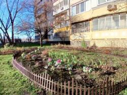 ��������� �������� ���������-���������, 6/2, ���, ������������ ���� 20