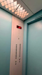 ��������� �������� ��������,18, ���, ���������� ���� 17