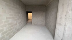   , , . , 11  5