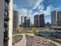 ��������� �������� ����� �����������, 44, ��� ���� 17