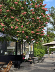 Продається квартира Бастіонна, 10, Київ, Печерський фото 10 Продається квартира Бастіонна, 10, Київ, Печерський фото 10