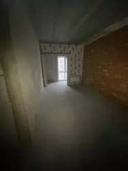   , , .  , 24, .   11