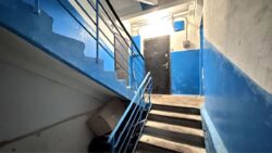 ��������� �������� ����� �����, 8, ���, ������������� ���� 14