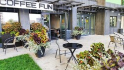 ��������� �������� ������� �����������, 32, ���, �����������, �. ������������ ���� 16