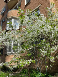 Продається квартира Київ, Шевченківський, Почайнинська, 13/9 фото 19 Продається квартира Київ, Шевченківський, Почайнинська, 13/9 фото 19