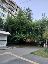 ��������� �������� ���������, 6, ���, ���������� ���� 14