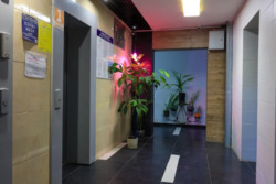 ��������� �������� ���. ������� �����������, 3�, ���, ����������� ���� 3