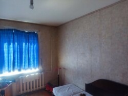   , , 볿 , 5  3