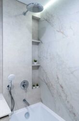 ��������� �������� �����������, 24�, ���, �����������, �. ������������ ���� 18