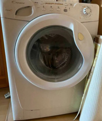   , ,  , 19/1, . ˳  22