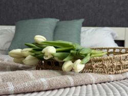 ��������� �������� ������������� �����, 45�, ���, ���������� ���� 8