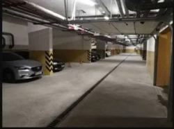 ��������� �������� ������ ����������, 36-�, ���, ����������, �. ��������� ���� 8